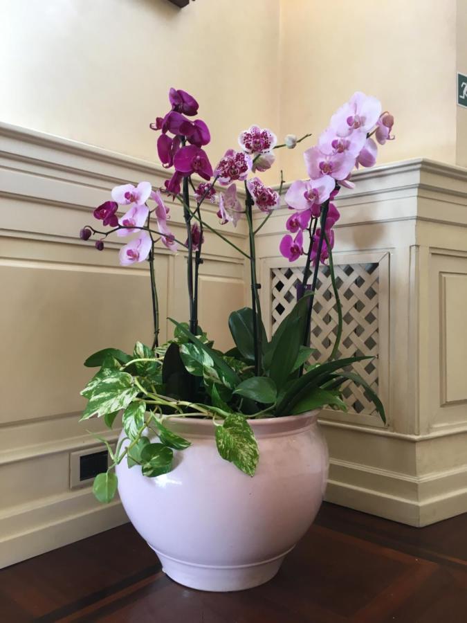 B&B Villino Margherita Roma Dış mekan fotoğraf